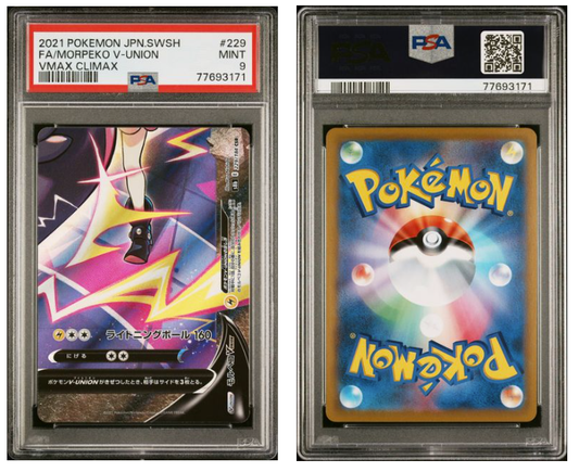 MORPEKO V-UNION #229