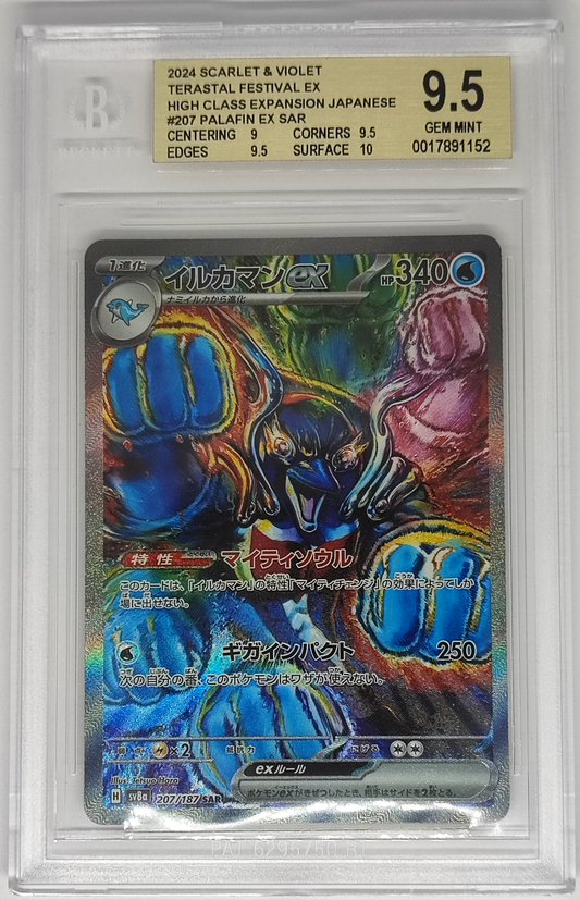 Palafin ex SAR #207